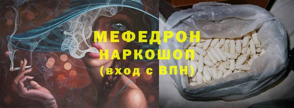 СК Ельня