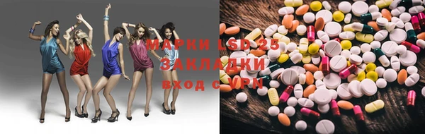 СК Ельня
