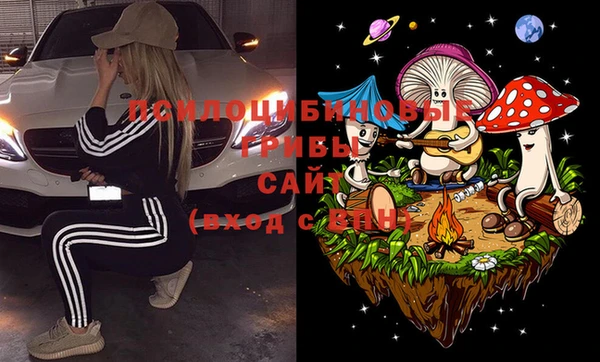 гидропоника Елабуга