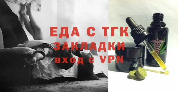 СК Ельня