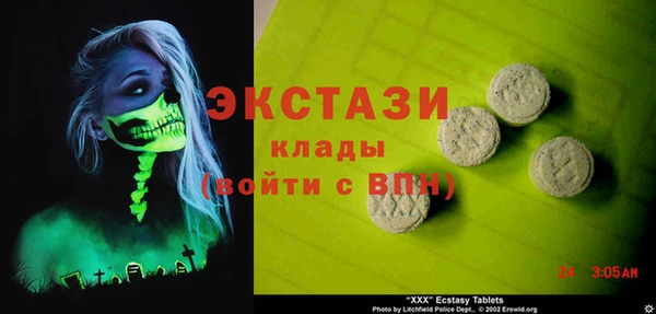 СК Ельня