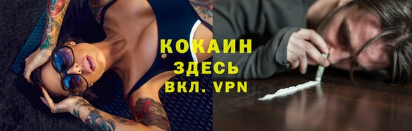 СК Ельня