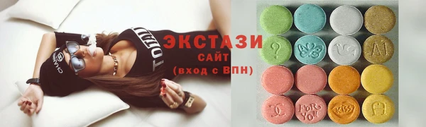 СК Ельня