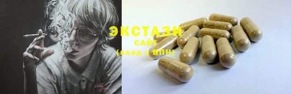 СК Ельня