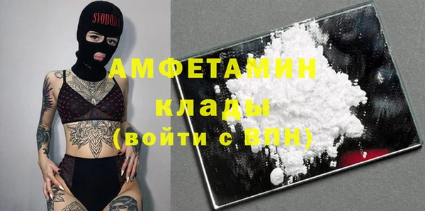 СК Ельня