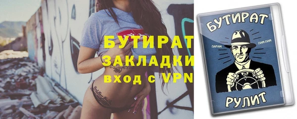 СК Ельня