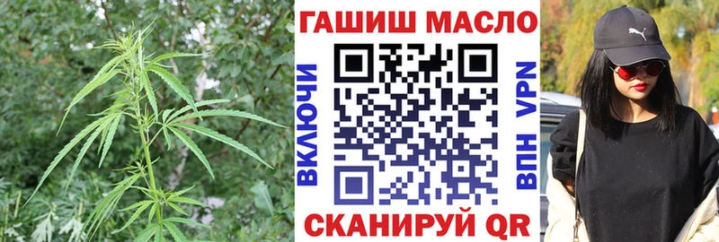 Купить закладки  Черемхово  Дистиллят ТГК концентрат 