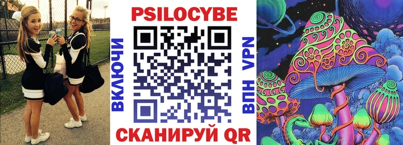 Купить закладки  Черемхово  Псилоцибиновые грибы ЛСД 